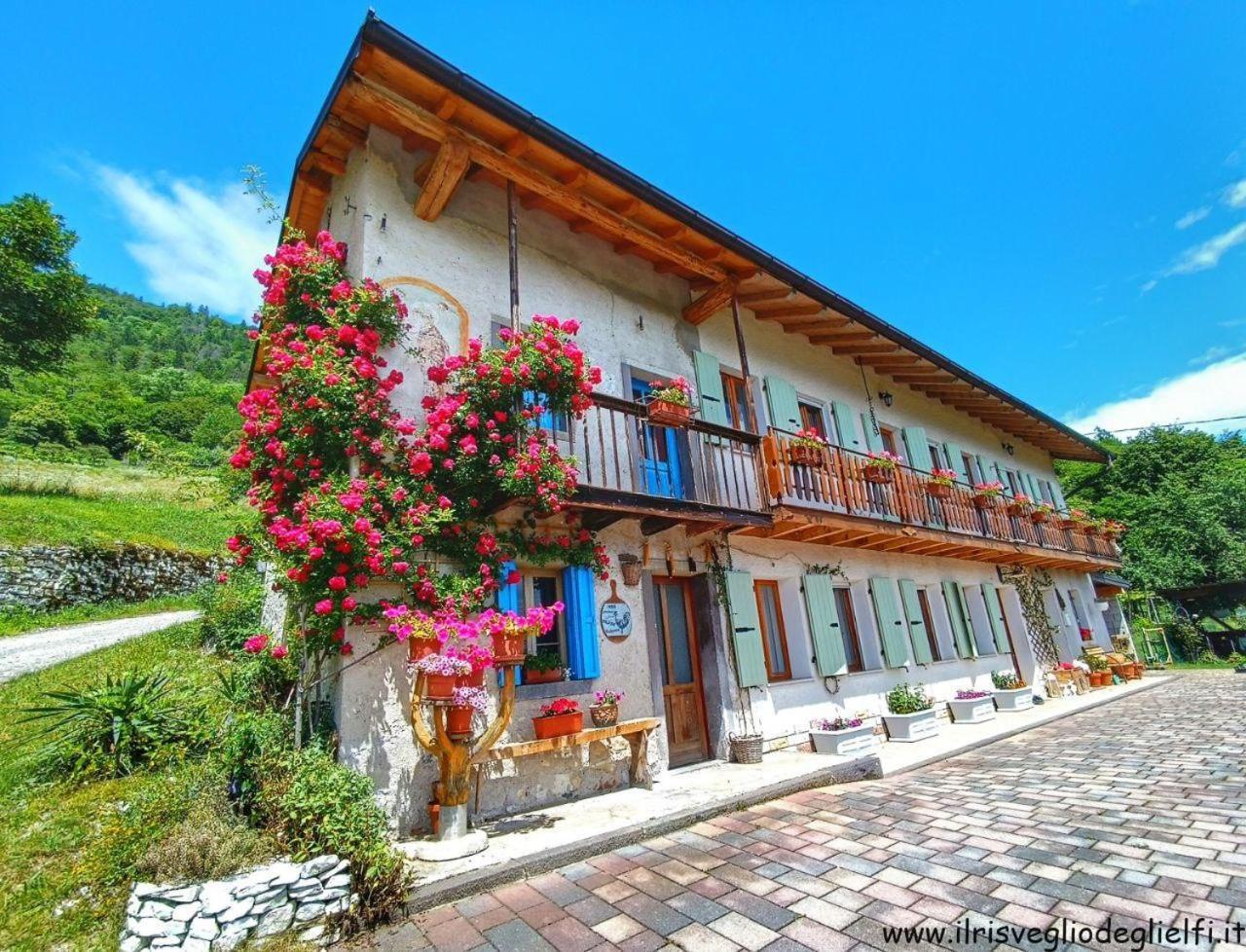 Casa Nella Natura Il Risveglio Degli Elfi Педавена Экстерьер фото